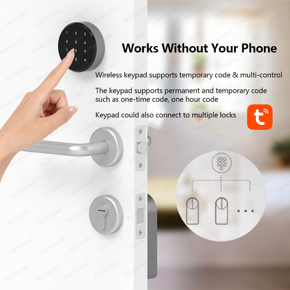 RAYKUBE A1 Pro Tuya BEL ensemb - Smart Door Lock Wifi avis et prix
